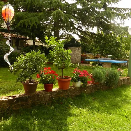 Apartman Amedea *