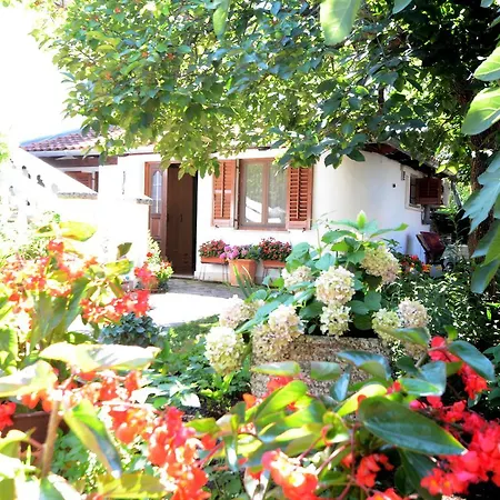 Amedea Apartman *